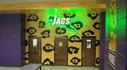 BMS Jags Wall Pattern